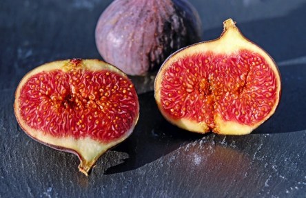 figs-smokve-1620590_640